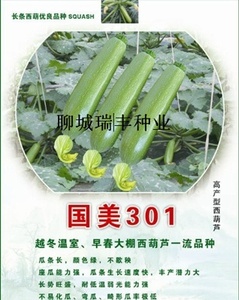 国美301