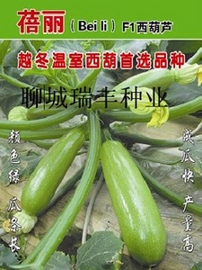 蓓丽