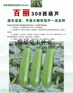 百丽308