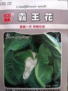 霸王花