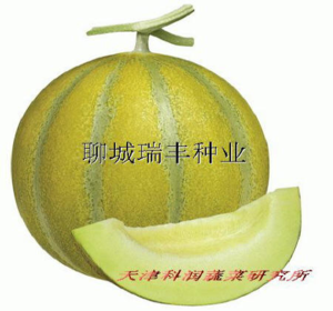 丰雷
