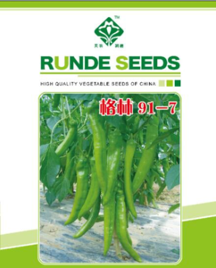 格林91-7